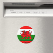 Vlag van Wales Magneet (Insitu (Vaatwasser))