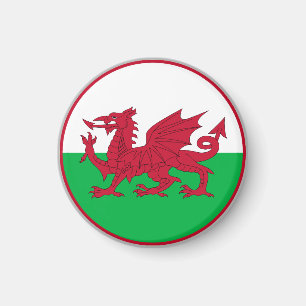 Vlag van Wales Magneet