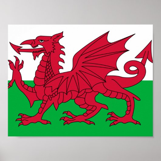 Vlag van Wales Poster (Voorkant)