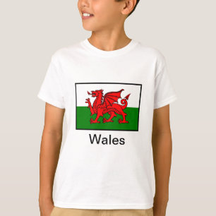 Vlag van Wales T-shirt