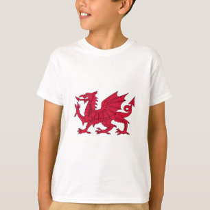 Vlag van Wales - The Red Dragon - Baner Cymru T-shirt