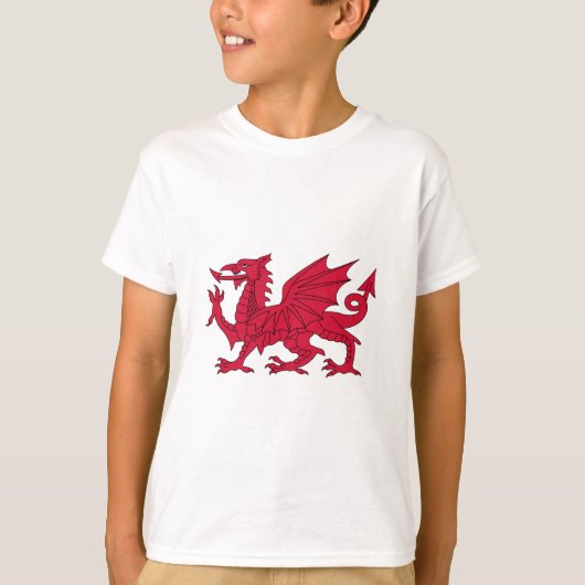 Vlag van Wales - The Red Dragon - Baner Cymru T-shirt (Voorkant)