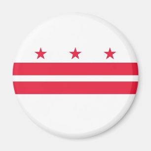 Vlag van Washington DC Magneet