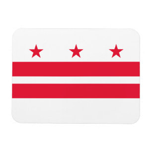 Vlag van Washington DC Magneet