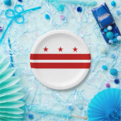 Vlag van Washington DC Papieren Bordje (Feest)