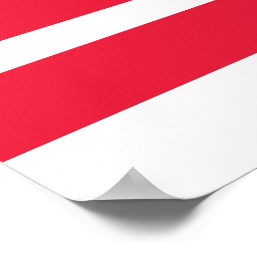 Vlag van Washington DC Poster (Hoek)