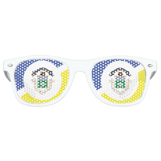 Vlag van Winnipeg, Manitoba Retro Zonnebril (Voorkant)