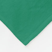 Vlag van Worcester, Massachusetts Fleece Dekbed Deken (Hoek)