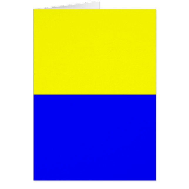 Vlag van Zandvoort (Voorkant)