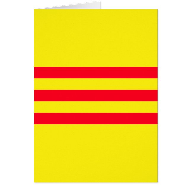 Vlag van Zuid-Vietnam (Voorkant)