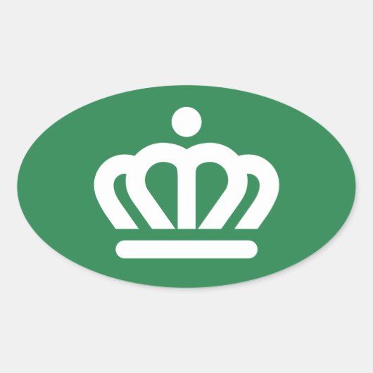 Vlag (variant) van Charlotte, NC Ovale Sticker (Voorkant)