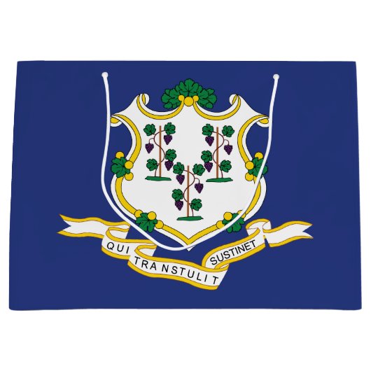 Vlag verbindingsstaat groot cadeauzakje (Voorkant)