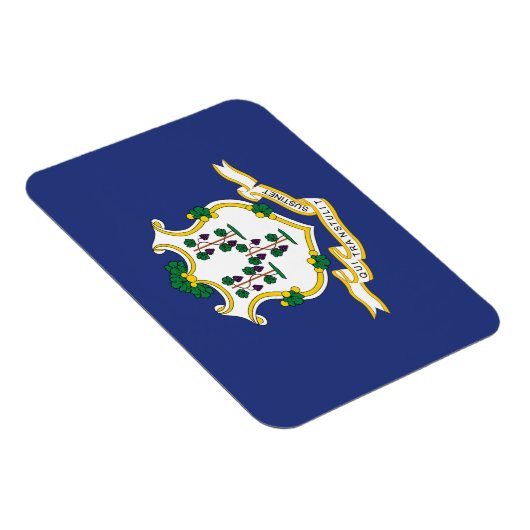 Vlag verbindingsstaat magneet (Rechterzijde)