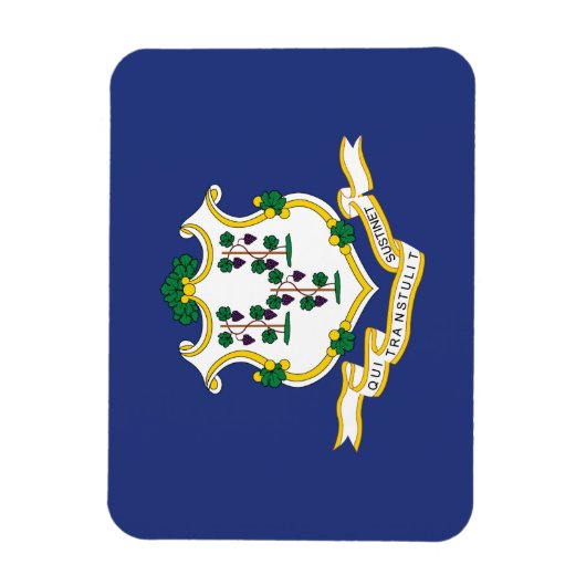 Vlag verbindingsstaat magneet (Verticaal)