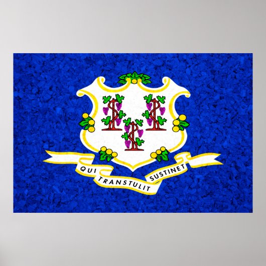 Vlag verbindingsstaat poster (Voorkant)