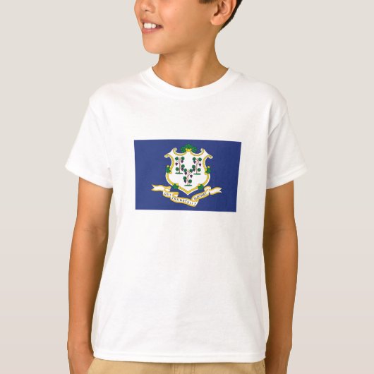 Vlag verbindingsstaat t-shirt (Voorkant)