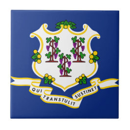 Vlag verbindingsstaat tegeltje