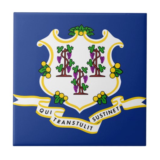 Vlag verbindingsstaat tegeltje (Voorkant)