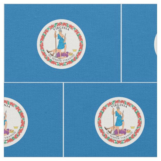 Vlag VIRGINIA - Stof (Close Up)