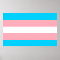 Vlag voor roze, blauw en wit transgender