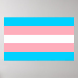 Vlag voor roze, blauw en wit transgender poster