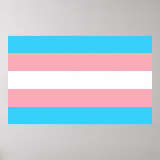 Vlag voor roze, blauw en wit transgender poster (Voorkant)