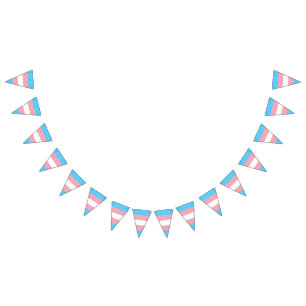 Vlag voor transgenderprijzen vlaggetjes
