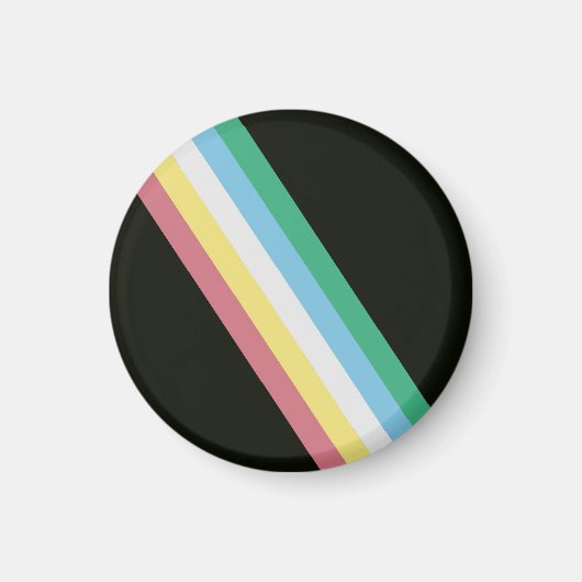Vlag voor trots op een beperking magneet (Voorkant)
