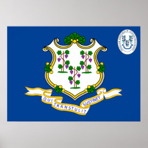 vlag voor verbinding poster