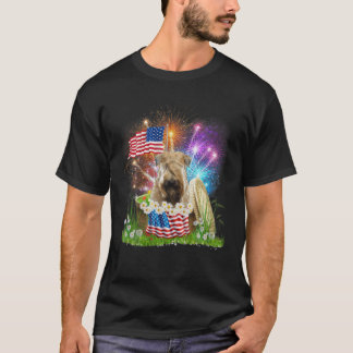 Vlag Vuurwerk Vlag Vlag Vuurwerk met zachte bekled T-shirt