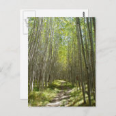 Vlageraspen Briefkaart (Voorkant / Achterkant)