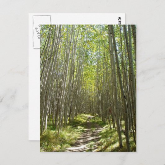 Vlageraspen Briefkaart (Voorkant / Achterkant)