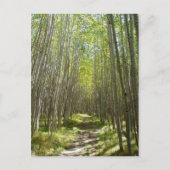 Vlageraspen Briefkaart (Voorkant)