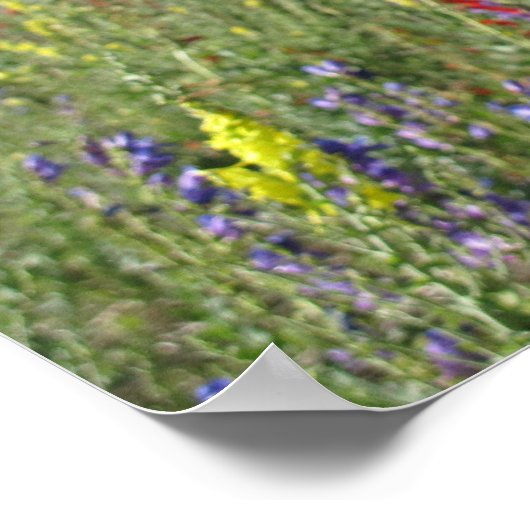 Vlagerplanten Poster (Hoek)