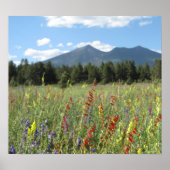 Vlagerplanten Poster (Voorkant)