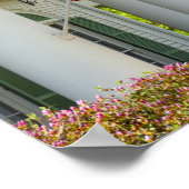 Vlaggen, Goodman LeGrand House, Tyler, Texas Poster (Hoek)