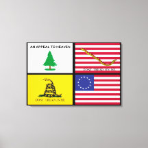 Vlaggen van de Amerikaanse revolutie
