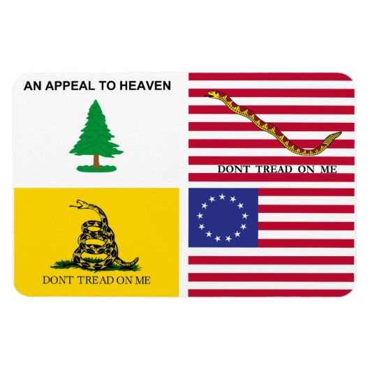 Vlaggen van de Amerikaanse revolutie Magneet (Horizontaal)