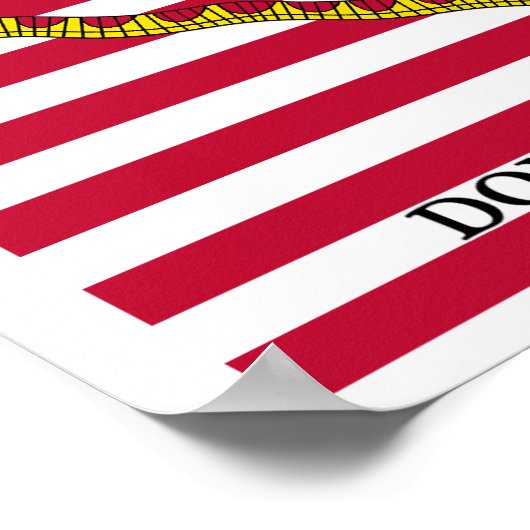 Vlaggen van de Amerikaanse revolutie Poster (Hoek)