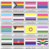 Vlaggen van het pakket Sticker van de Beweging van (Voorkant)