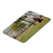 vlaggen van jonge monken en gebedden magneet (Linkerzijde)