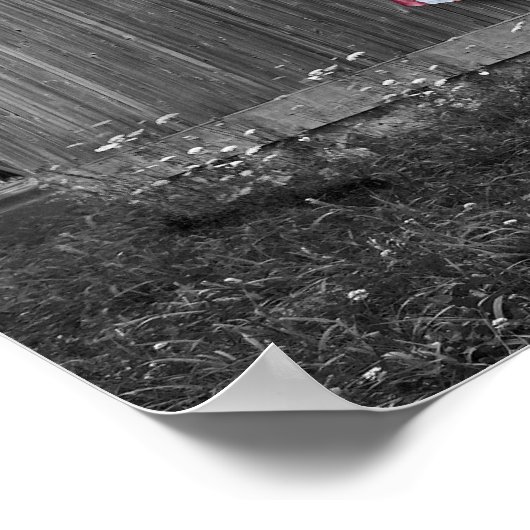 Vlaggen van onze boeren - Barn met Amerikaanse vla Poster (Hoek)