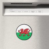 Vlaggencirkel van de Welsh quality Magneet (Insitu (Vaatwasser))