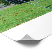 Vlaggengebied Poster! Poster (Hoek)