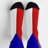 Vlaggenjas van wapens van de Tsjechische Republiek Sokken (Top)