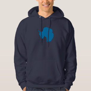 Vlaggenkaart Antarctica Hoodie