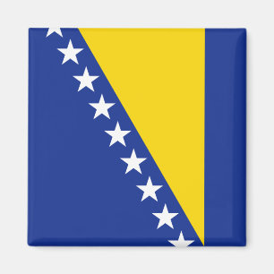 Vlaggenmagneet Bosnië-Herzegovina Magneet