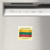 Vlaggenmagneet van de Republiek Litouwen Magneet (Insitu (Vaatwasser))