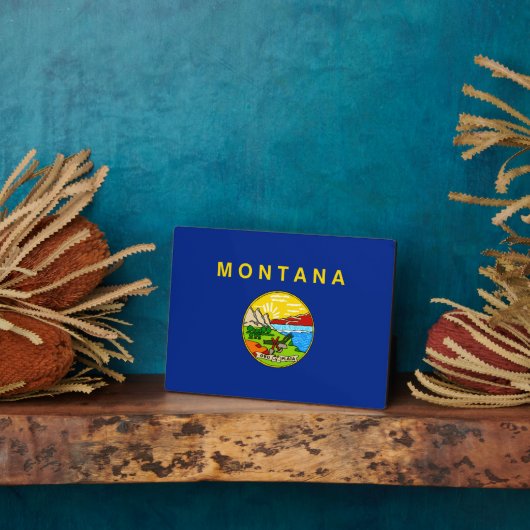 Vlaggenontwerp van de staat Montana Fotoplaat (Zijkant)