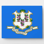 Vlaggenplak van de Connecticut-staat Fotoplaat (Voorkant)
